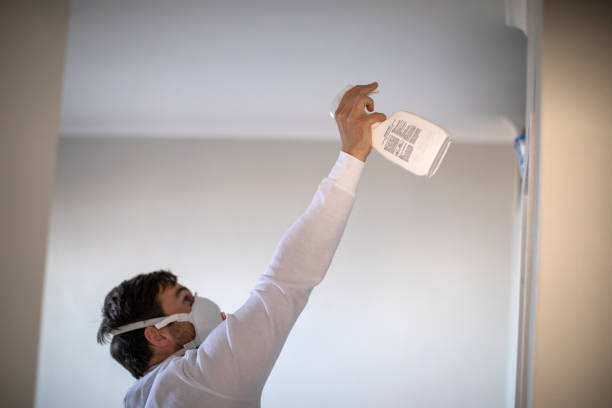 Best Mold Removal Specialists  in Lewistown, MT